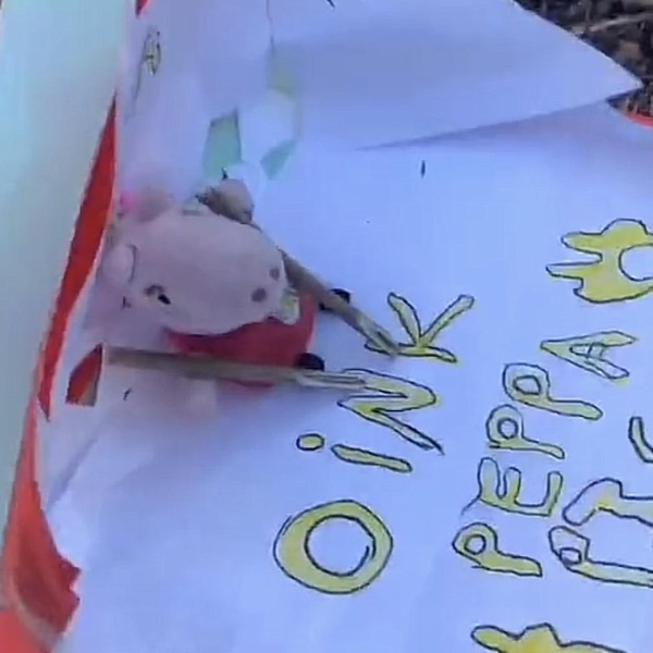 "The Golden Oink" Concert Live from the Woods