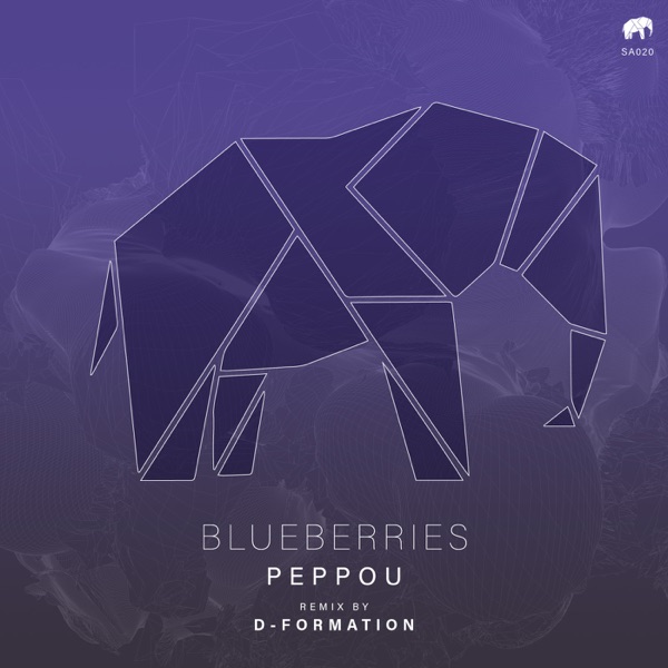 Blueberries - EP