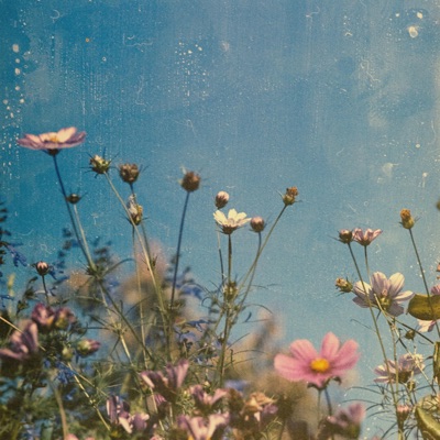 Memory i crave - Single