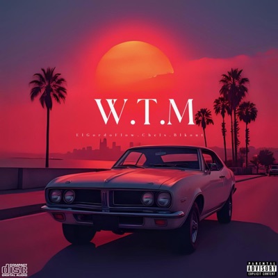 W.T.M (feat. Blkout407 & Chels) - Single