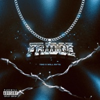 Fridge (feat. Will Ryte) - Single - TBG