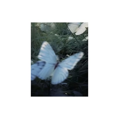 November. (Remix) - Single