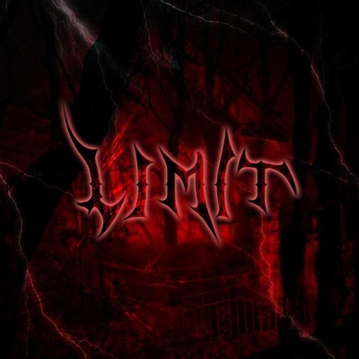 limit (feat. Hello Hannes) - Single