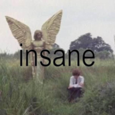 insane (feat. parisplacid & Mxno) - Single