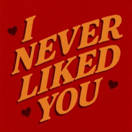 I Never Liked You Hadeed Muhammed