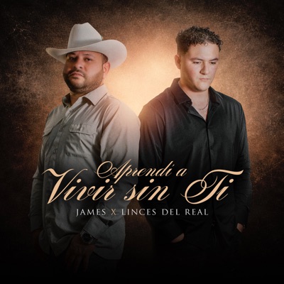 Aprendí a Vivir Sin Ti - Single