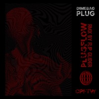 PLUGFLOW (Flip Glider Remix) - Single - Dimebag Plug