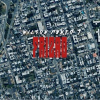 Frizao - Single - wilzon