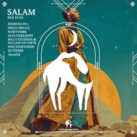 Salam (Max Doblhoff Remix) - Single - Rex Stax, Max Doblhoff & Cafe De Anatolia