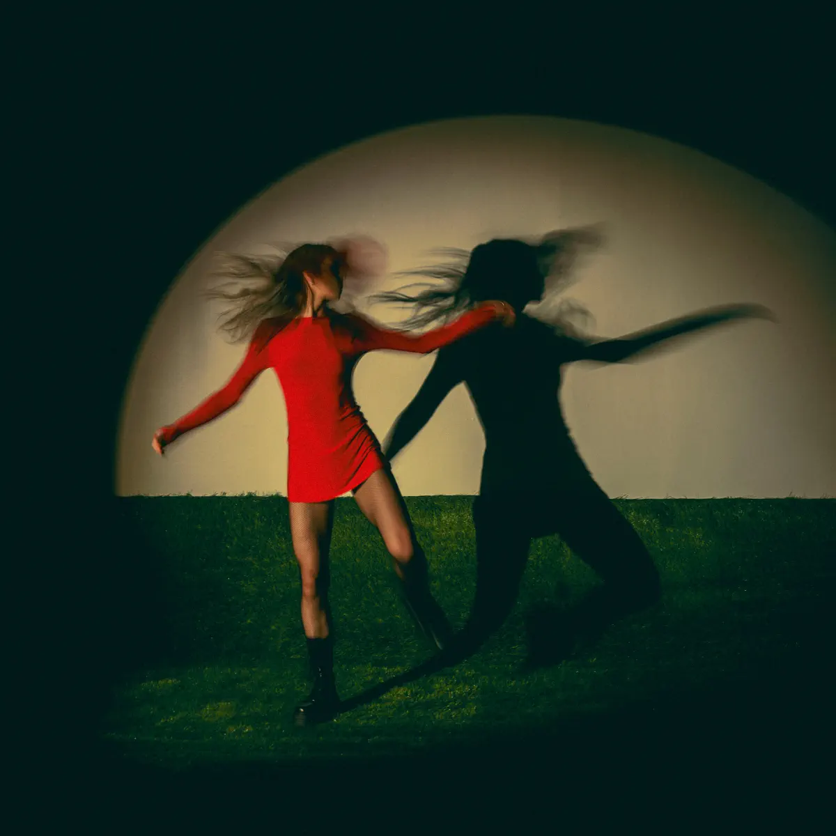 Taylor Acorn - Survival in Motion (2024) [iTunes Plus AAC M4A]-新房子