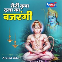 Teri Kripa Daya Ka Bajrangi - Single - Arvind Ojha