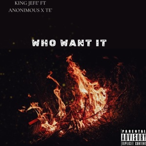 Who Want It (feat. Anonimous & Te')