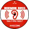 How U Like Bass