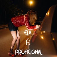 ELA É PROFICIONAL - Single - DJ Nikão, MC GN SHEIK & Nestuan