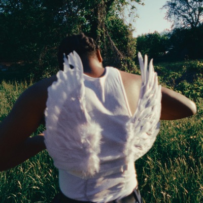 HOLD YOUR SOUL (feat. lucidjason, Joe Kappa & [z6]jimmy.) - Single