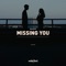 Missing You - Palastic lyrics