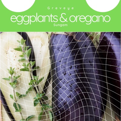 Eggplants & Oregano (feat. Sungam) - Single