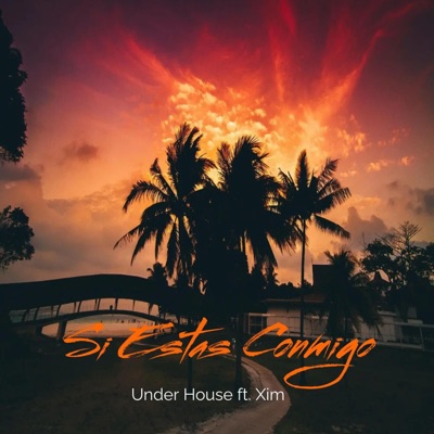 Si estas conmigo (feat. Xim) - Single