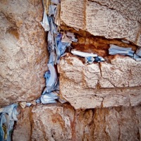 תכלית - Single - Toni Jino & יואש