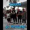 No Problems
