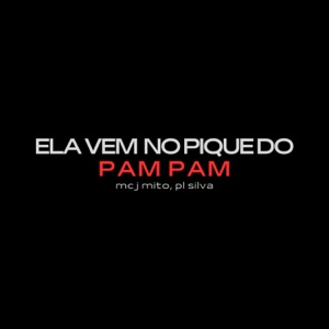 ELA VEM NO PIQUE DO PAM PAM (feat. Mc J Mito)