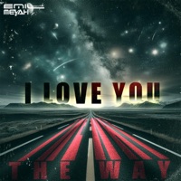 The Way I Love You - Single - Emil Lassaria & Meyah