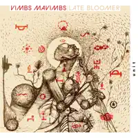 Better Not To Show — VIMBS MAVIMBS