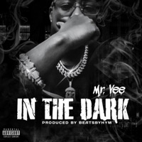 In the Dark - Single - Mr.Vee