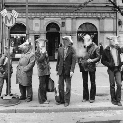 Pecking Order - Single