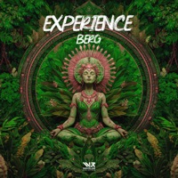 Experience - Single - Berg