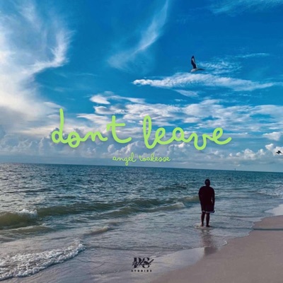 Don't Leave - Single