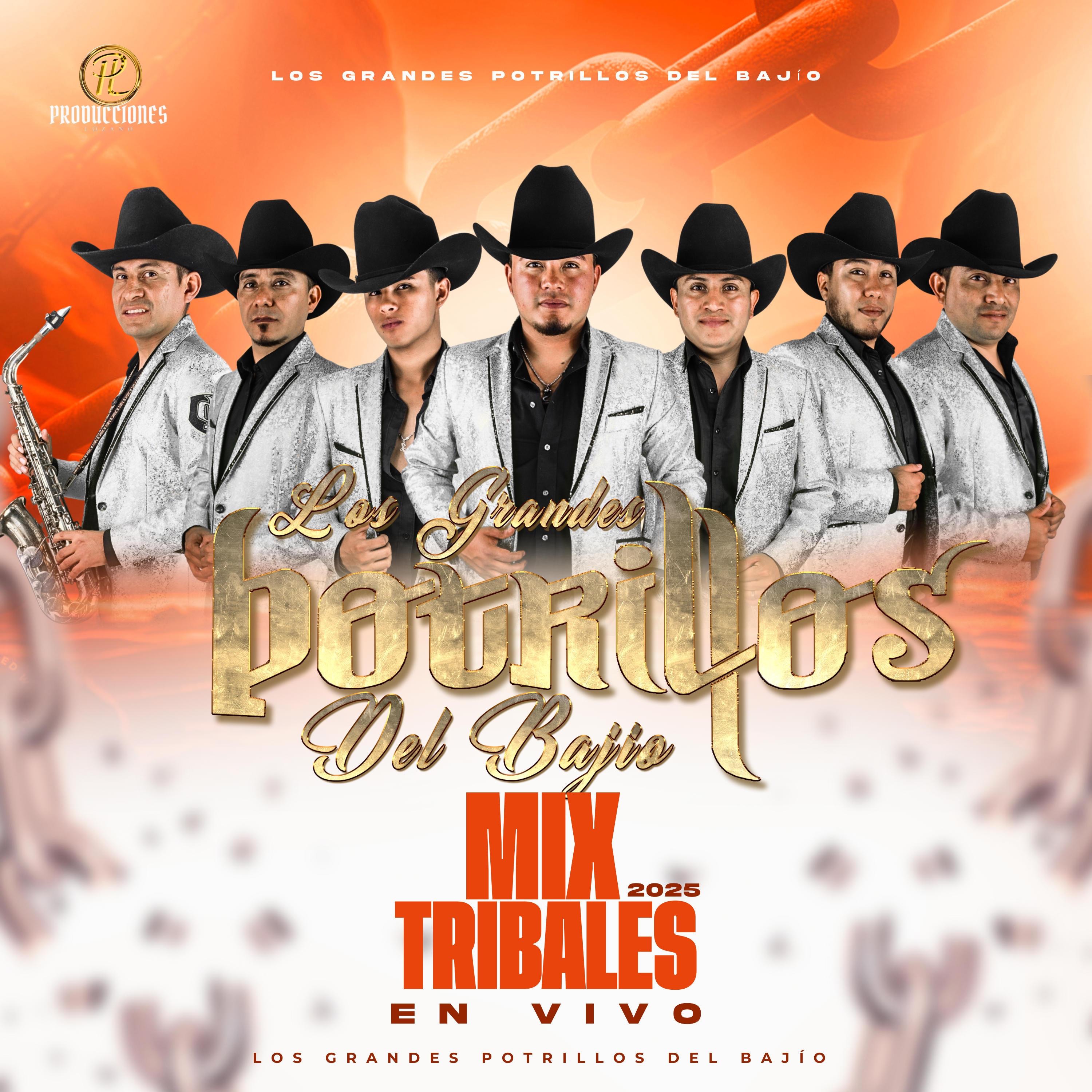Mix Tribales en Vivo (En vivo) - Single