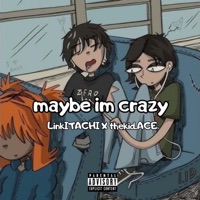 maybe im crazy (w/ thekid.ACE) - Single - LinkITACHI