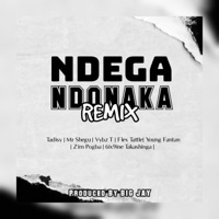 Album cover for Ndega ndonaka (feat. Young fantan, Zimpogba, Mr shegu, Flexx T & 6ix9ine Takashinha) [Remix] - Single by Tadisy Zw