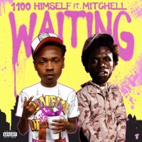 Waiting (feat. Mitchell) - Single - 1100 Himself