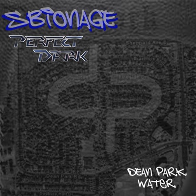Perfect Dark (Dean Park Water) - Single