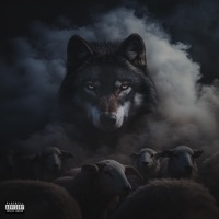 Cant Relate (feat. Jerome The Prince) - Single - Dillin Hoox