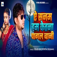E Sanam Hum Ketna Pagal Bani - Single - Vikash Bhojpuriya Dilkamal