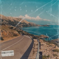 Feels Like - Single - Copaje