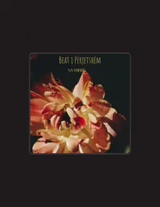 Hör dir NYTHERIS an, schau dir Musikvideos an, lies die Biografie, finde Tourdaten und mehr!