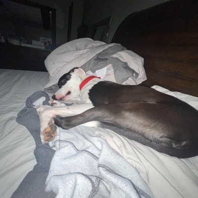 T.A.S (feat. kill4wick) - Single