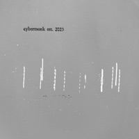XIII Stitch - Single - cybermonk