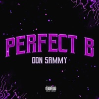Perfect B - Single - Don Sammy