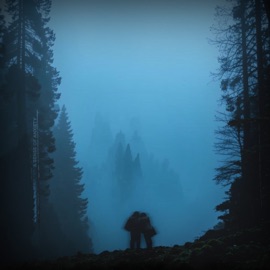 a sense of anxiety flwsh & dxstroyed