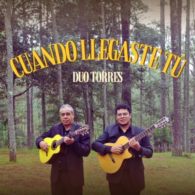 Cuando Llegaste Tú - Single