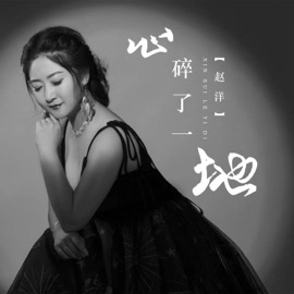 心碎了一地 (Dj版) 赵洋