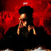 800 DEGREEZ - 808 BEEZY