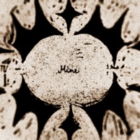 Mine - Single - ROZA