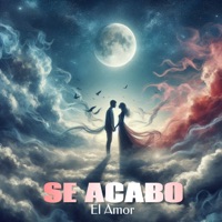 Se Acabo el Amor (feat. Keyvin Ce) - Single - Dj Nene