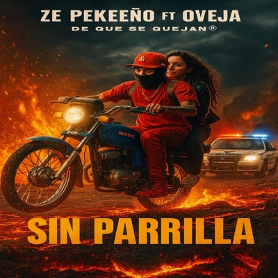 R SIN PARRILLA (feat. oveja produce) - Single